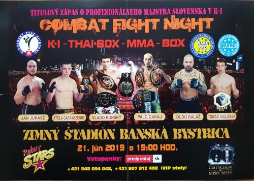 Combat Fight night
