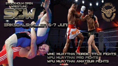 World Fighters United