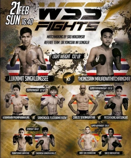 WSS Fights