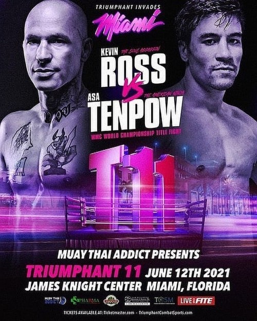 Triumphant 11