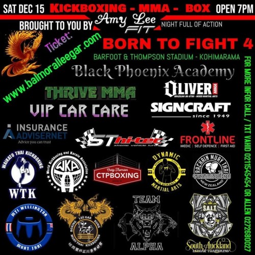 Born To Fight 4
