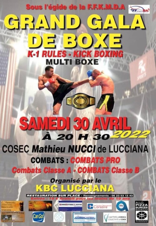 Grand Gala de Boxe