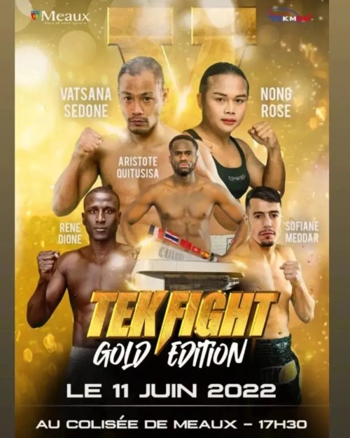 TEK Fight Gold Edition