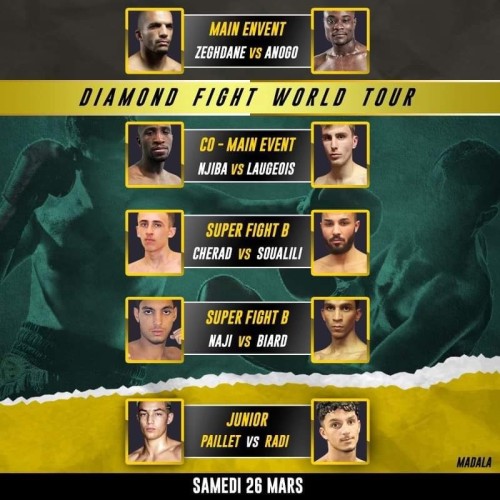 Diamond Fight World Tour