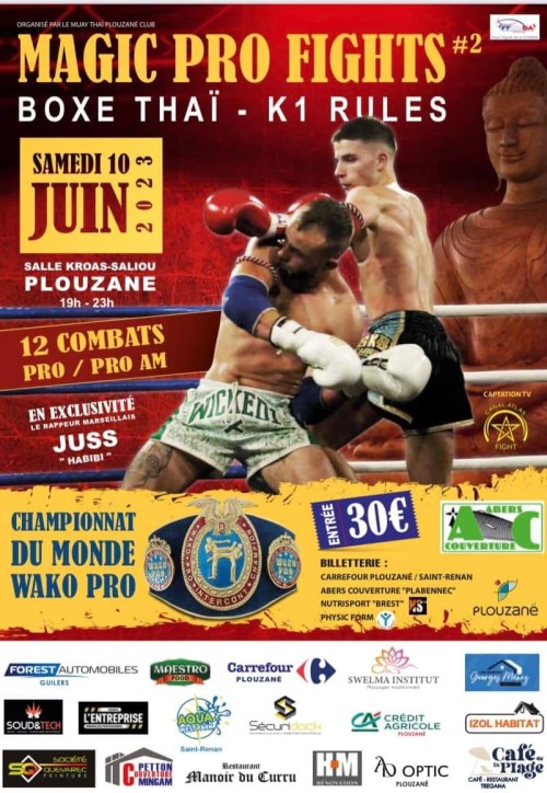 Magic Pro Fights