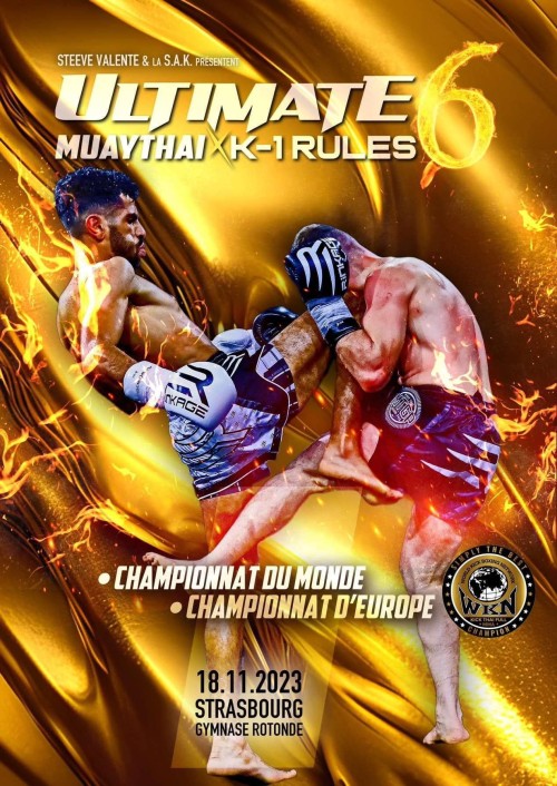 Ultimate Muaythai K-1 Rules 6