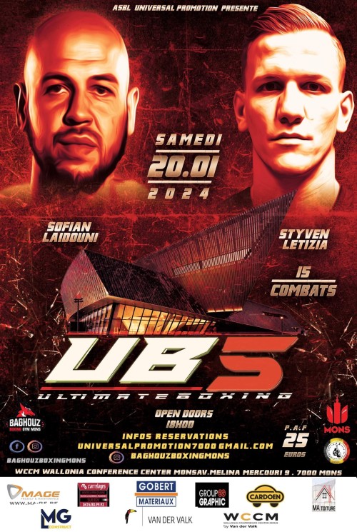 Ultimate Boxing 5