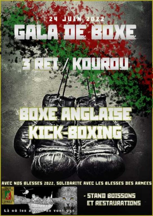 Gala de Boxe