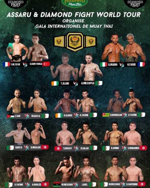 Diamond Fight World Tour