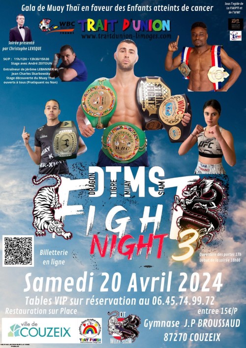 DTMS Fight Night 3