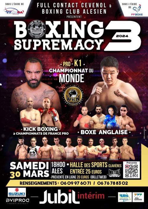 Boxing Supremacy 3