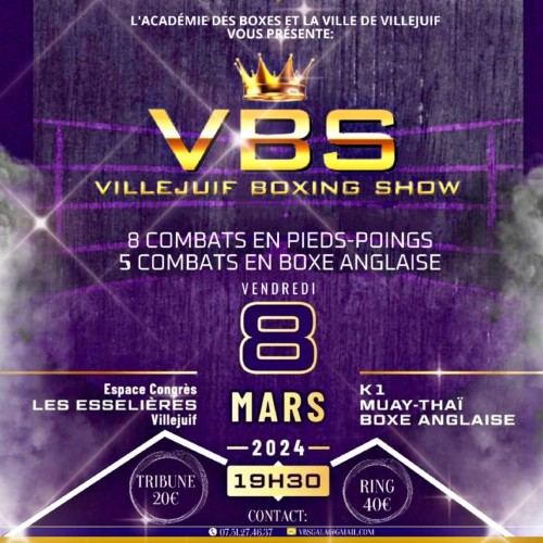 Villejuif Boxing Show