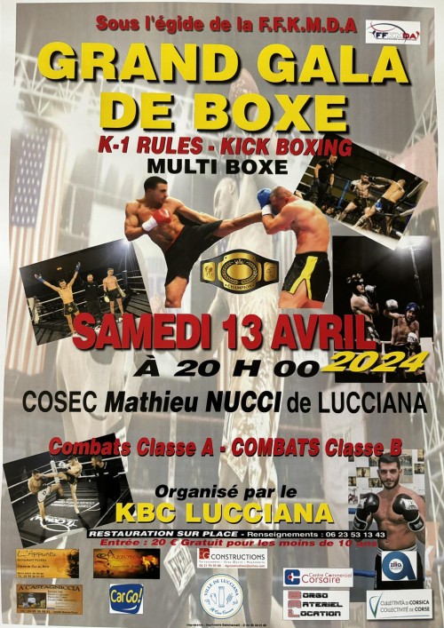 Grand Gala de Boxe