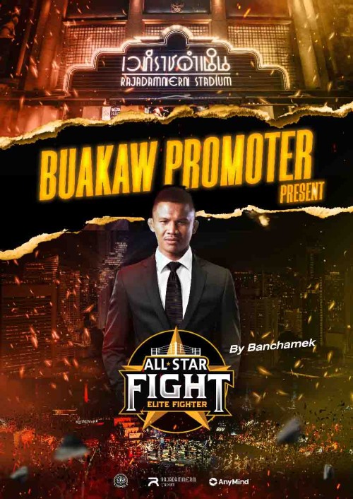 All Star Fight Elite Fighter