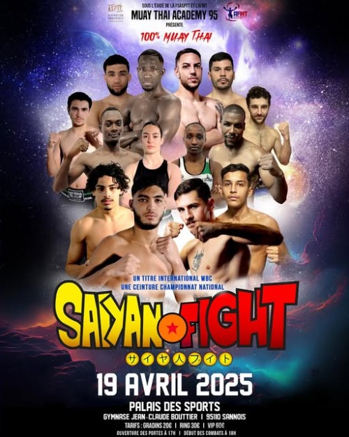 Saiyan Fight