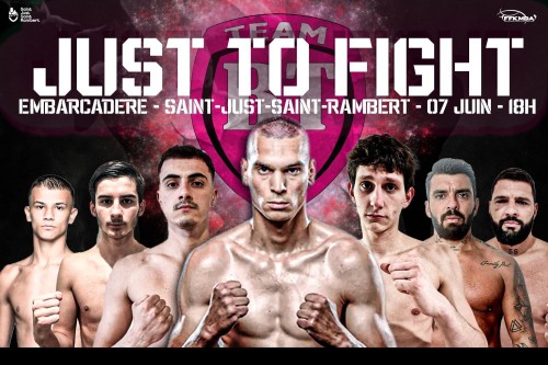 Just To Fight