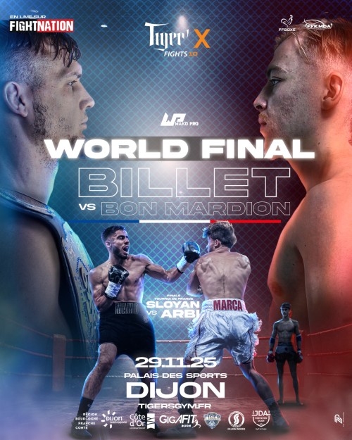 Tiger's Fights X