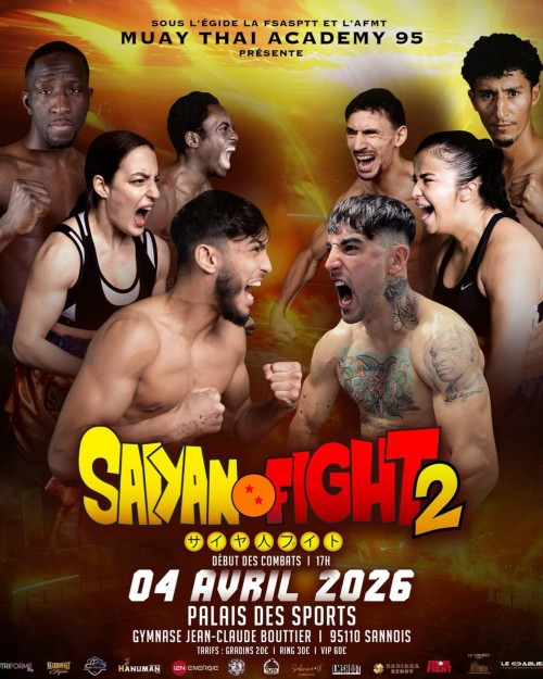Saiyan Fight 2